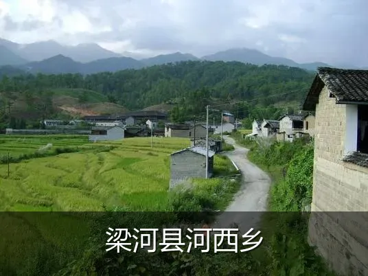 梁河县河西乡